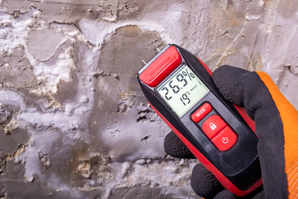 Best Mold Remediation for Specific Building Types in Grand Ledge, MI
